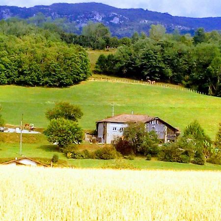 Okami Du Vercors Saint-Laurent-en-Royans Esterno foto